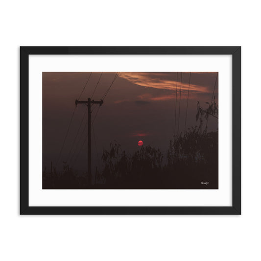 Red Eye - 18x24 - T