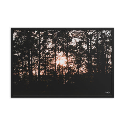 Ember Gleam - 24x36 - T