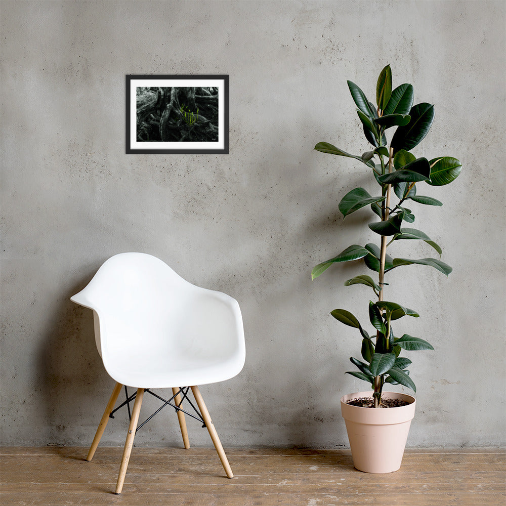 Seedlings - 12x16 - LI