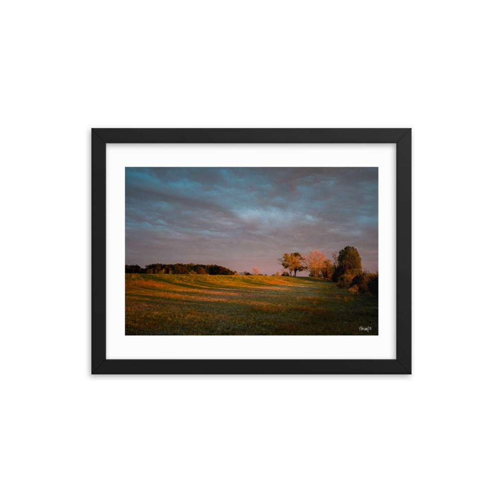 Shimmer - 12x16 - T
