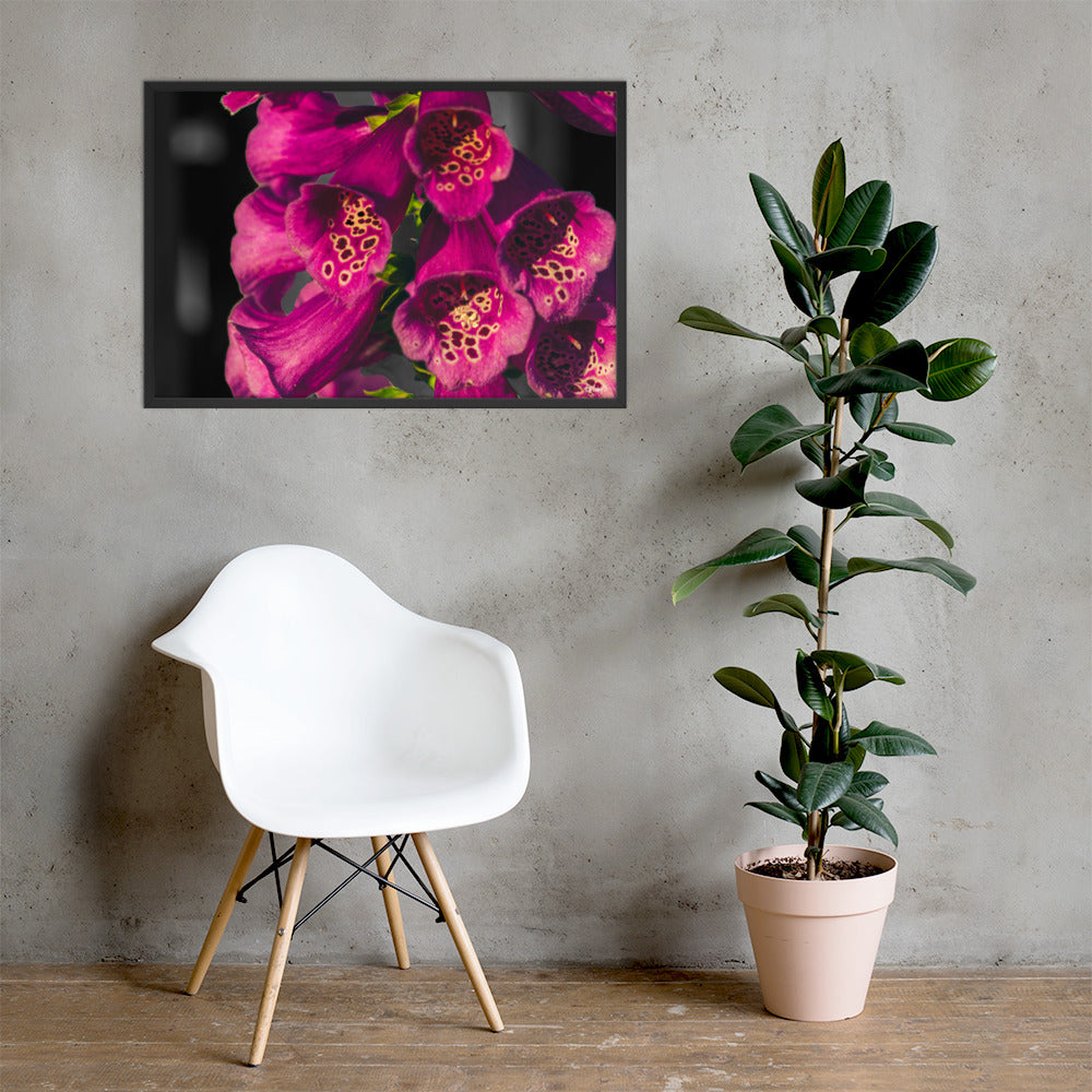 Foxglove - 24x36 - LI