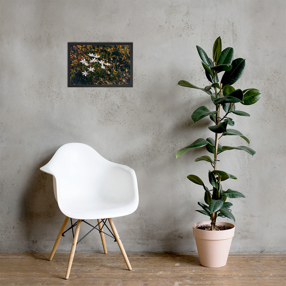 Spring - 12x18 - LI