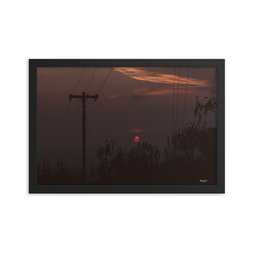 Red Eye - 12x18 - T