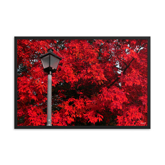 Limelight - 24x36 - T