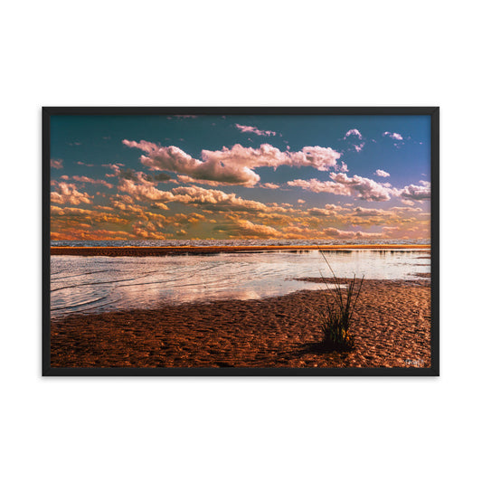 Oasis - 24x36 - T