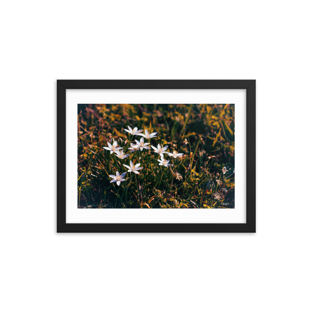 Spring - 12x16 - T