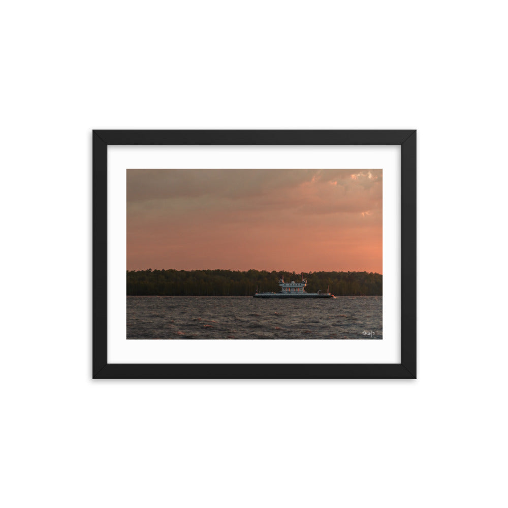 Coral Veil - 12x16 - T
