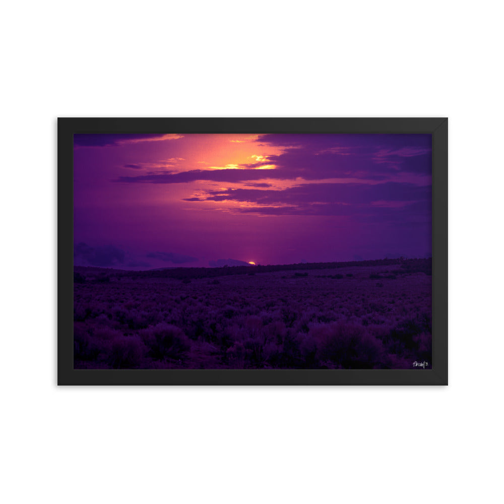 Pulse - 12x18 - T