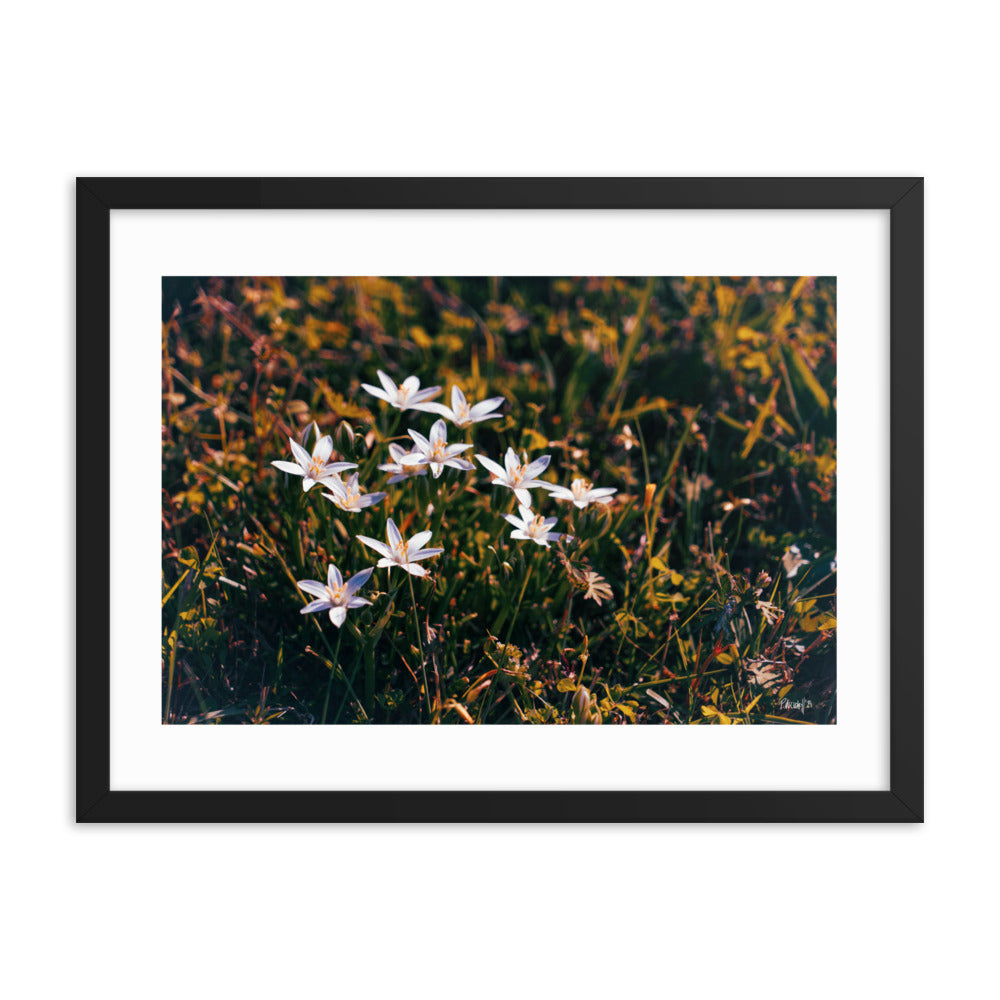 Spring - 18x24 - T