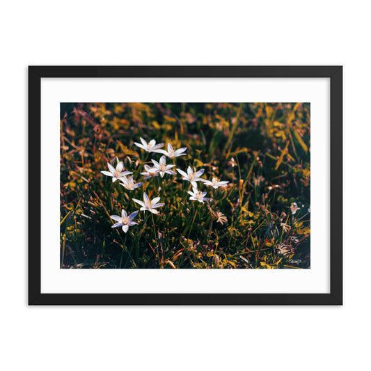 Spring - 18x24 - T