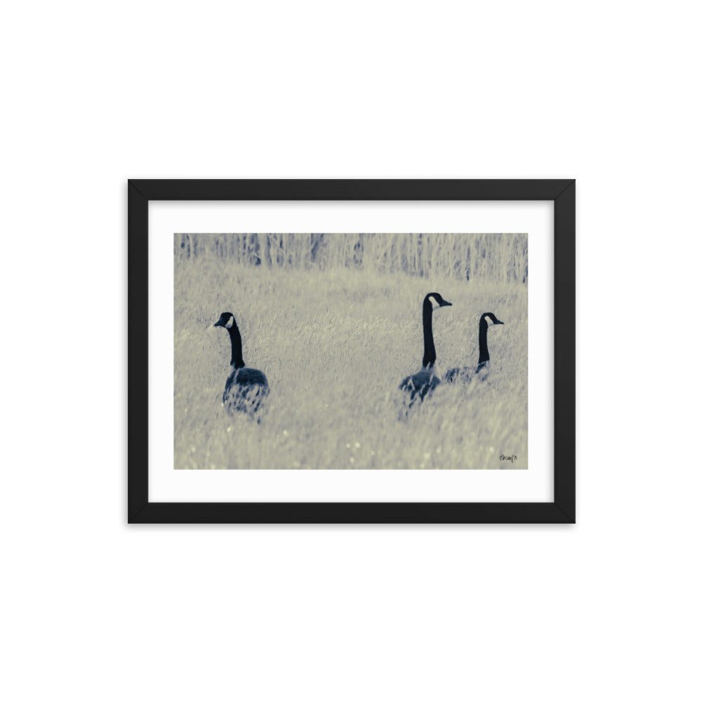 Three Geese - 12x16 - T