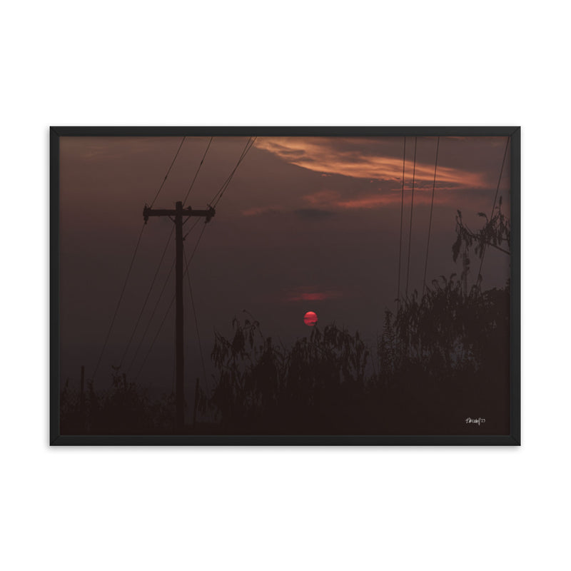 Red Eye - 24x36 - T