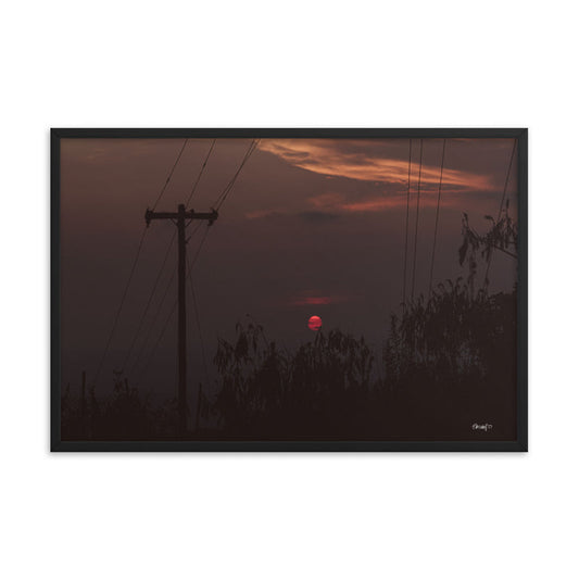 Red Eye - 24x36 - T