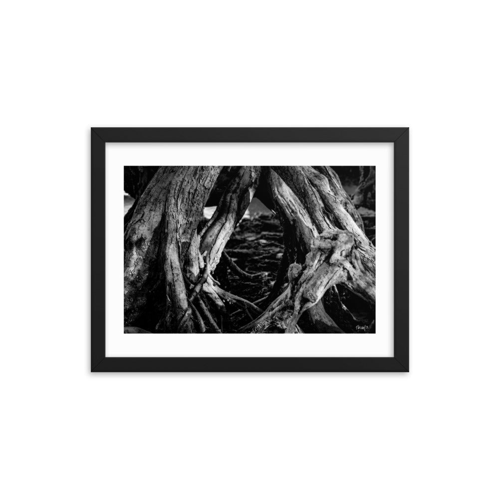 Undergrowth - 12x16 - T