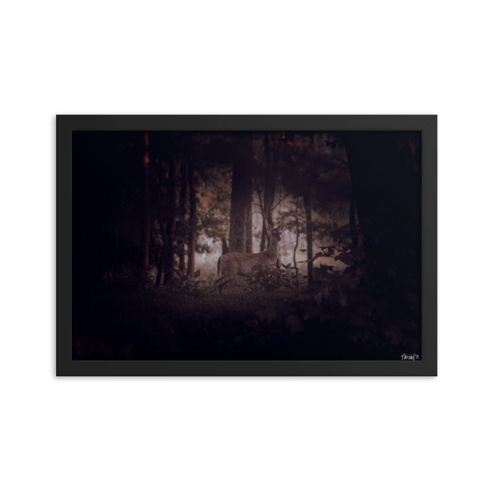 Mystic - 12x18 - T