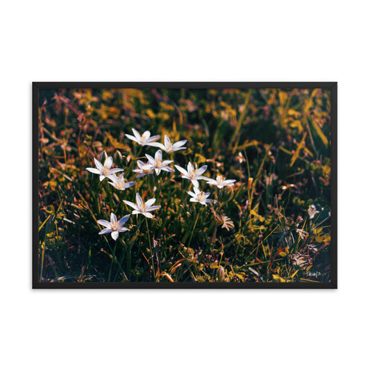 Spring - 24x36 - T