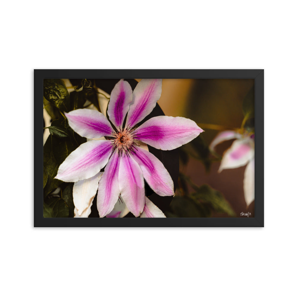 Blossom - 12x18 - T