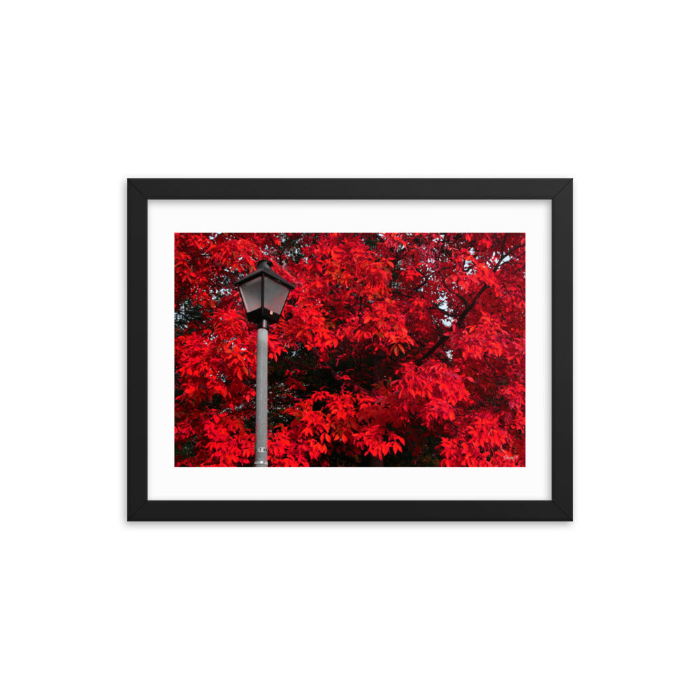 Limelight - 12x16 - T