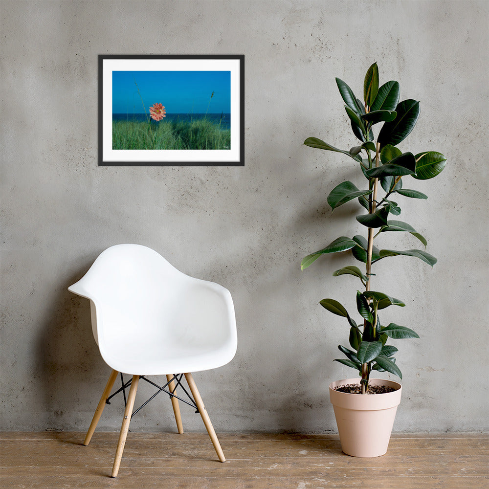Solitude - 18x24 - LI