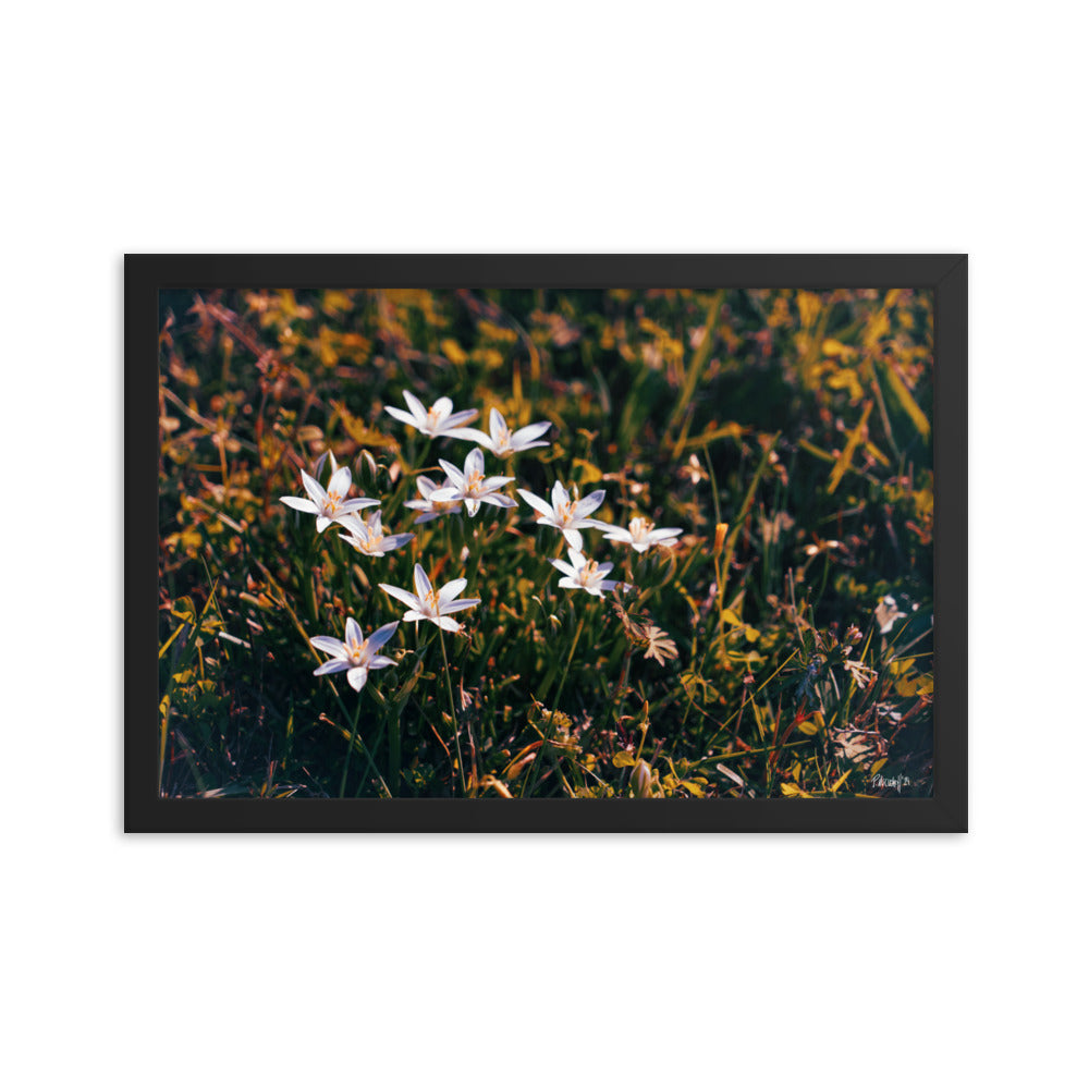 Spring - 12x18 - T