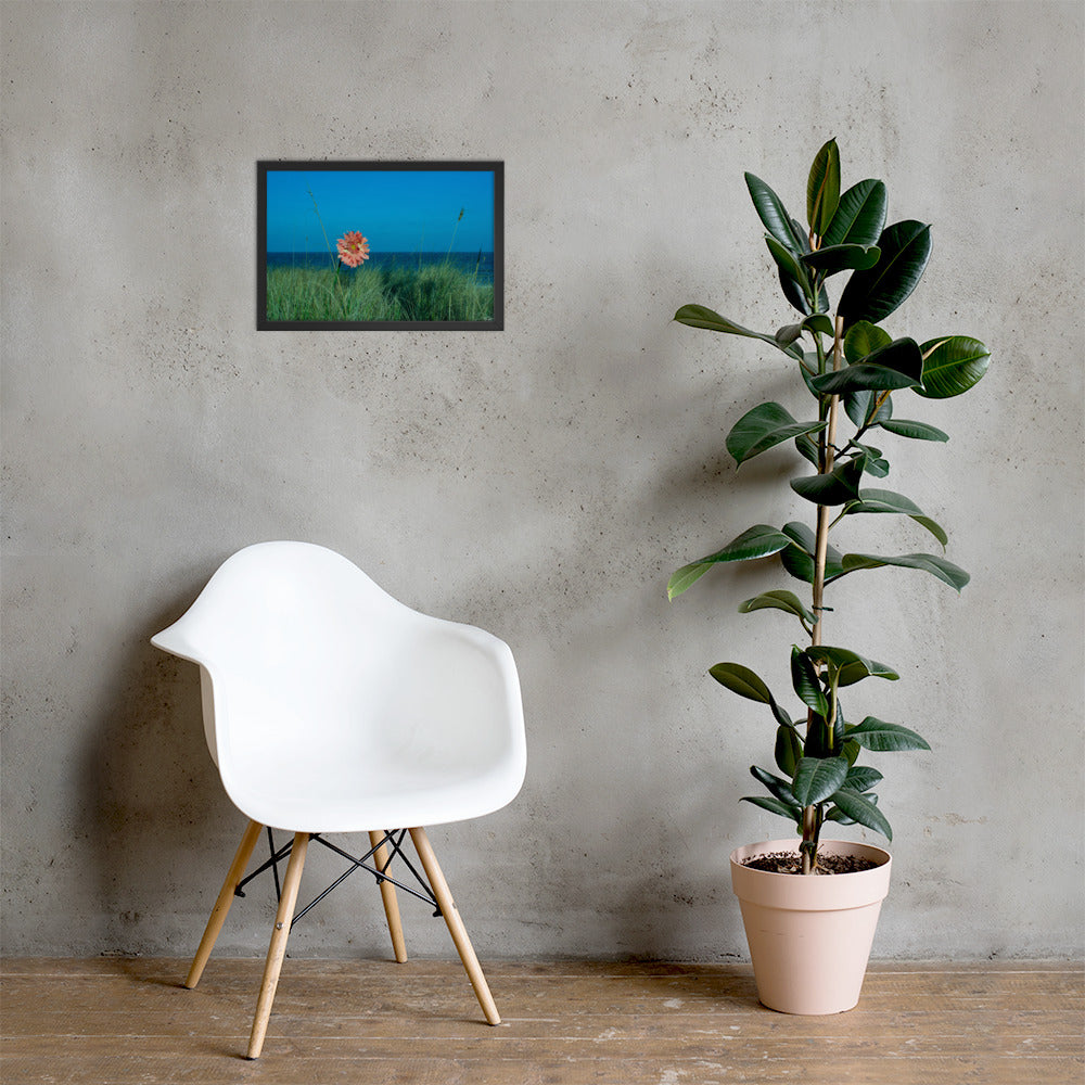 Solitude - 12x18 - LI