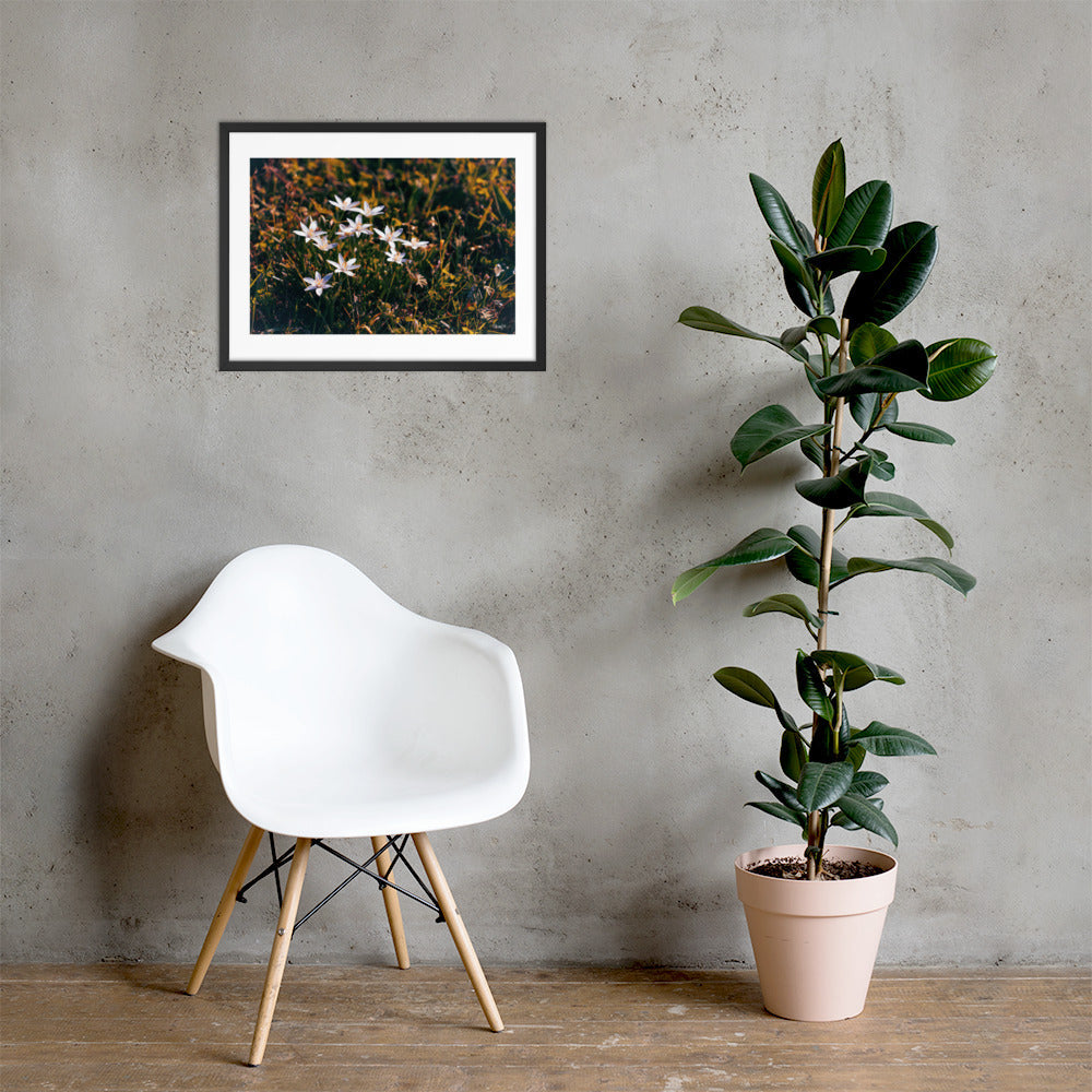 Spring - 18x24 - LI