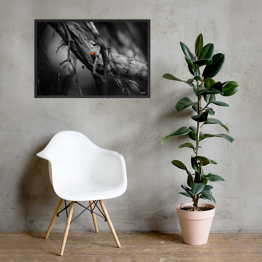 Nomad - 24x36 - LI