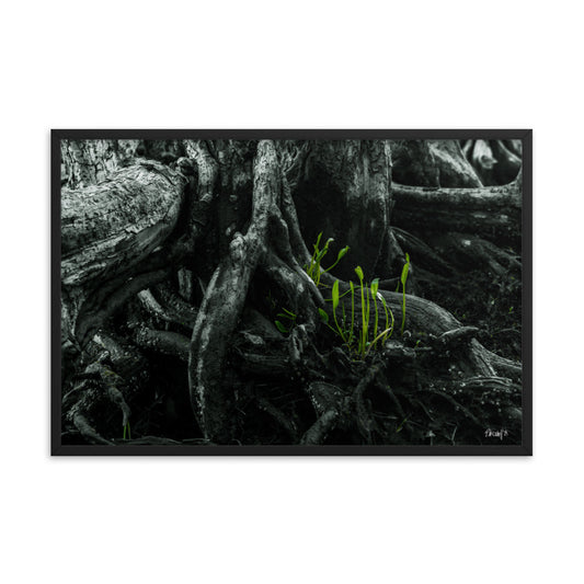 Seedlings - 24x36 - T