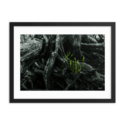 Seedlings - 18x24 - T