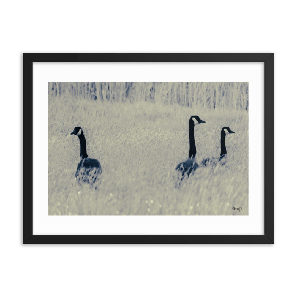 Three Geese - 18x24 - T