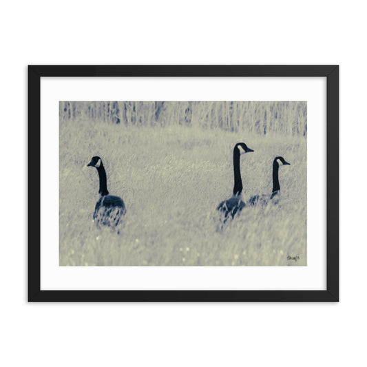 Three Geese - 18x24 - T