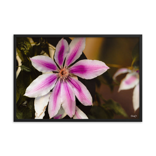 Blossom - 24x36 - T