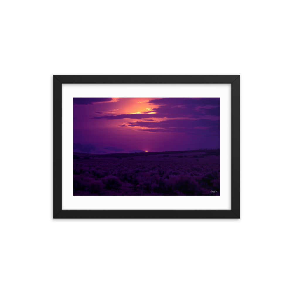 Pulse - 12x16 - T