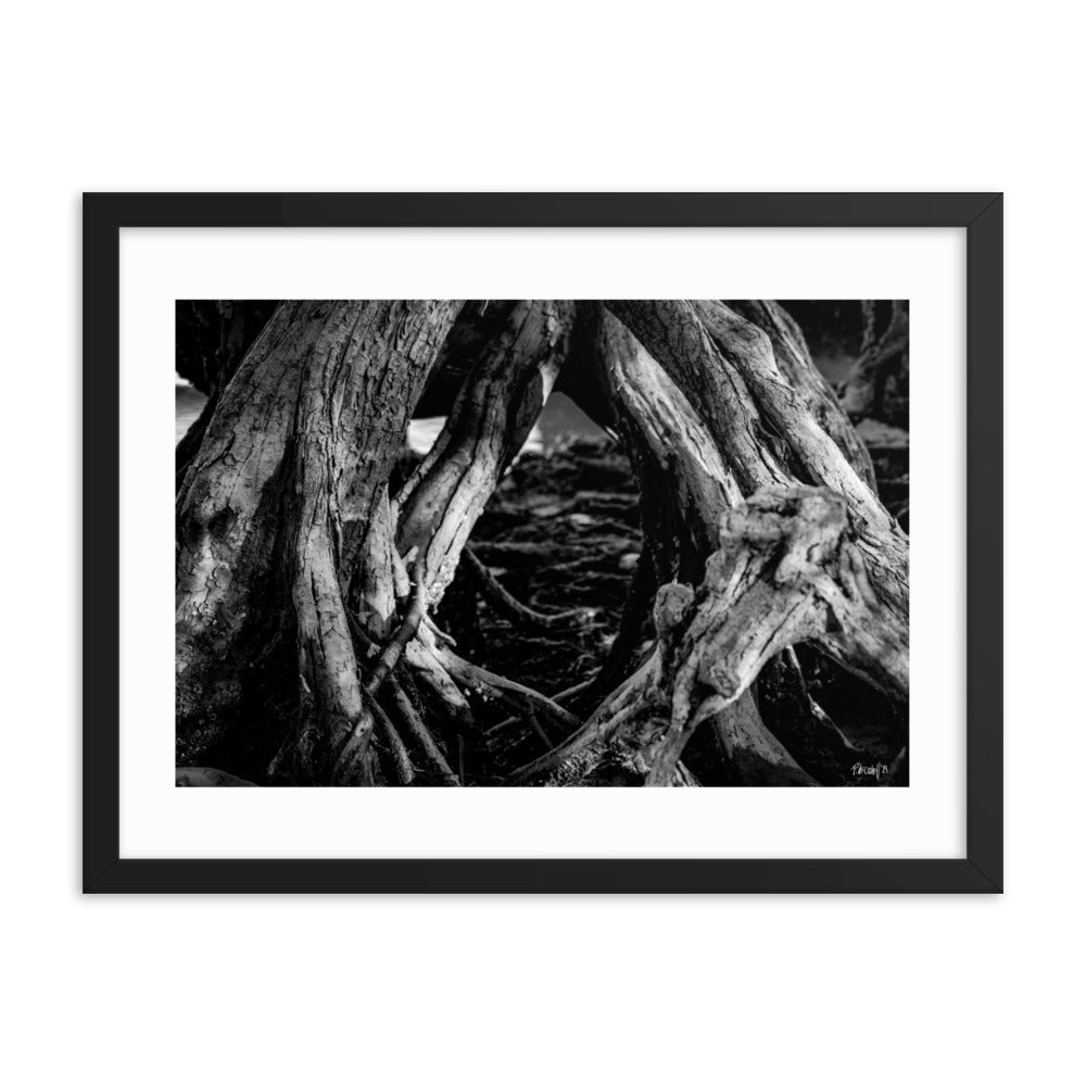 Undergrowth - 18x24 - T