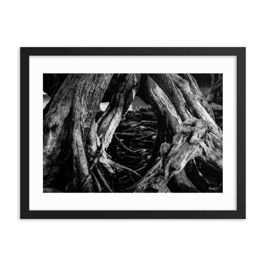 Undergrowth - 18x24 - T