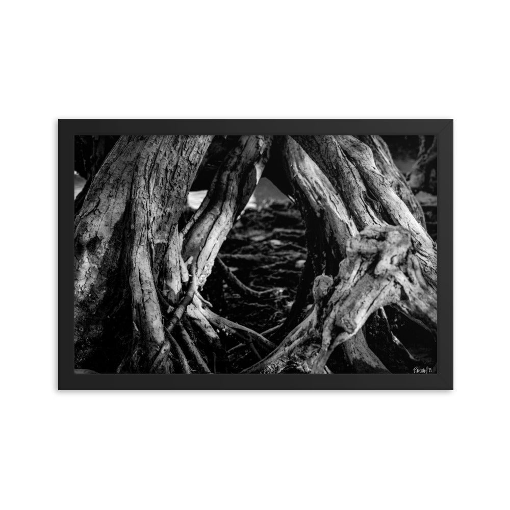 Undergrowth - 12x18 - T