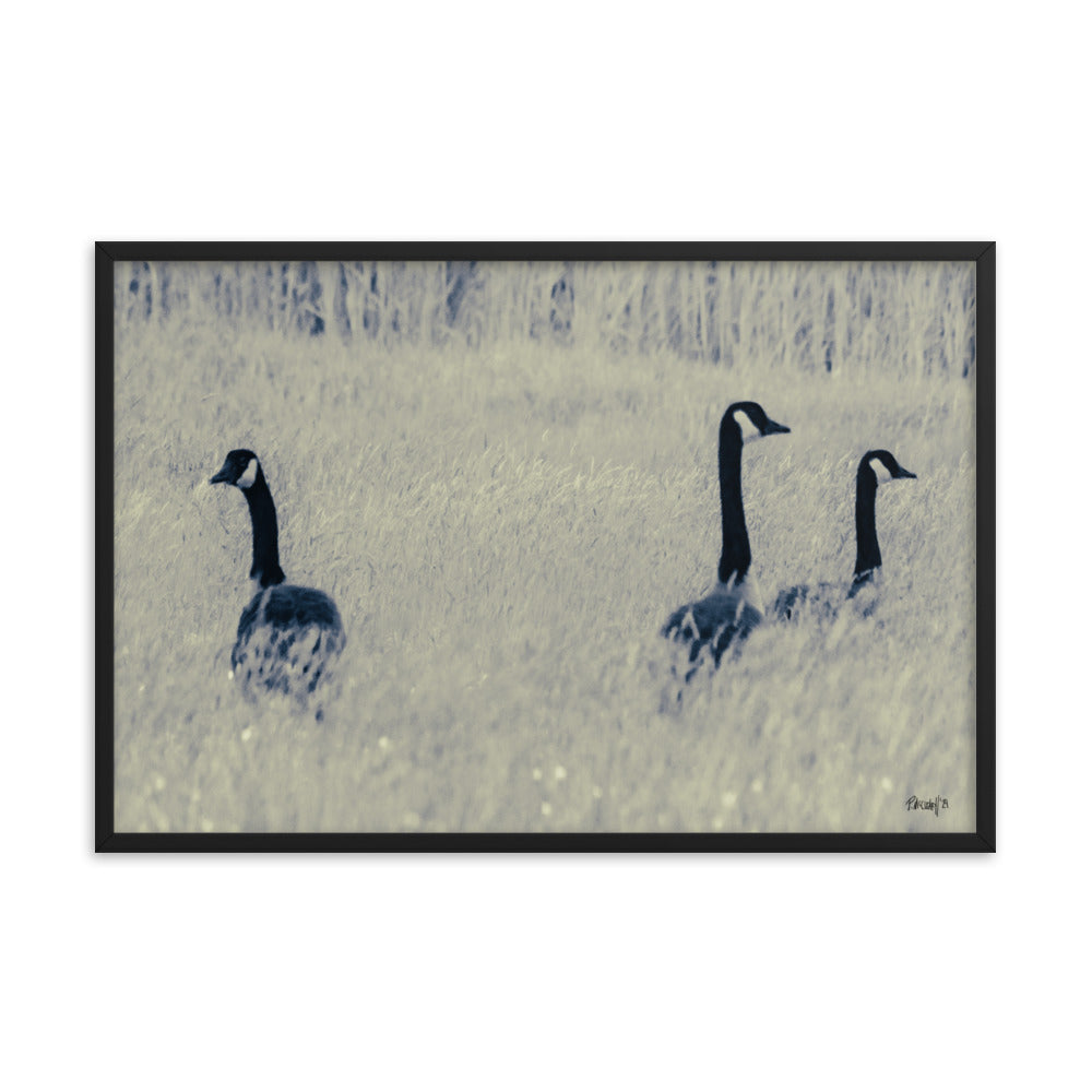 Three Geese - 24x36 - T