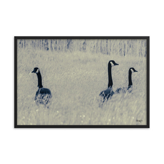Three Geese - 24x36 - T