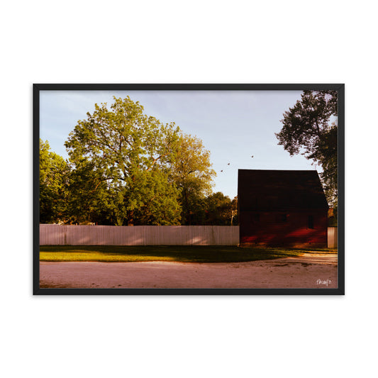 Insular - 24x36 - T