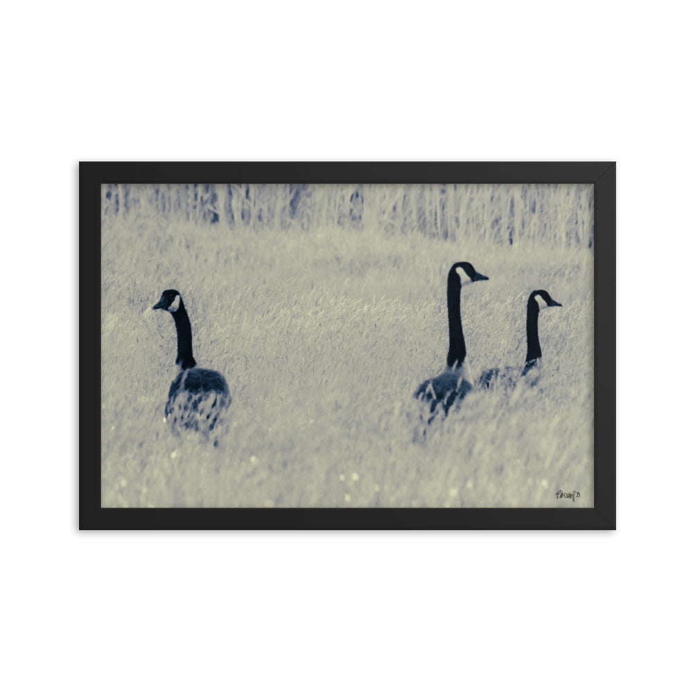 Three Geese - 12x18 - T