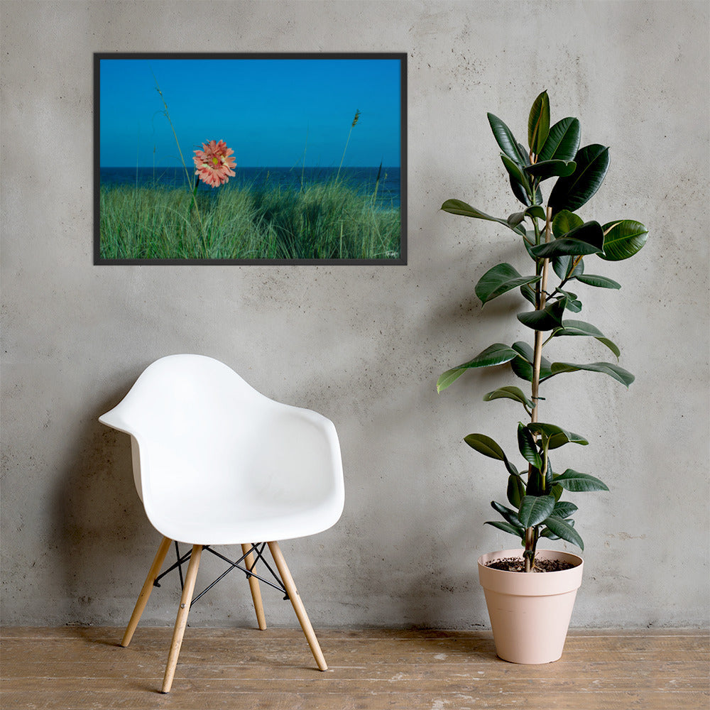 Solitude - 24x36 - LI