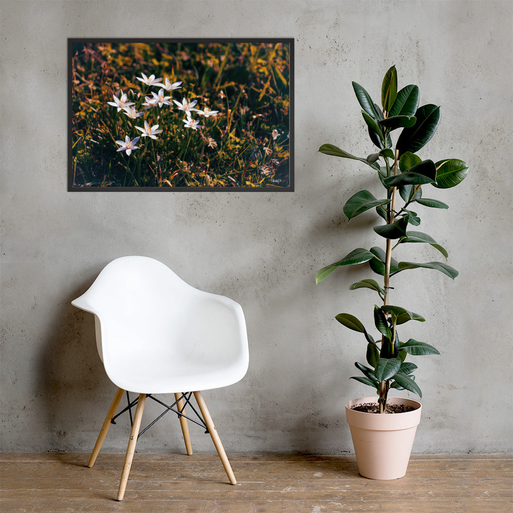 Spring - 24x36 - LI