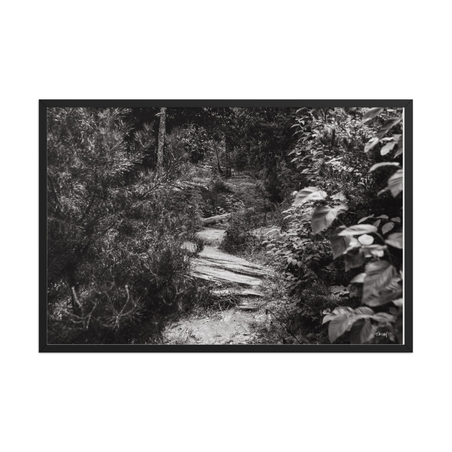 Trial - 24x36 - T