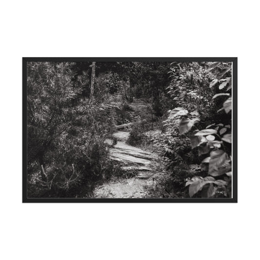 Trial - 24x36 - T