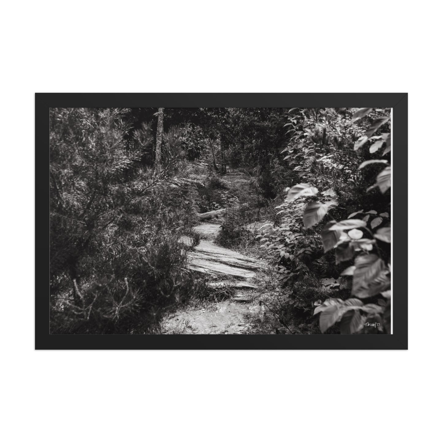 Trial - 12x18 - T