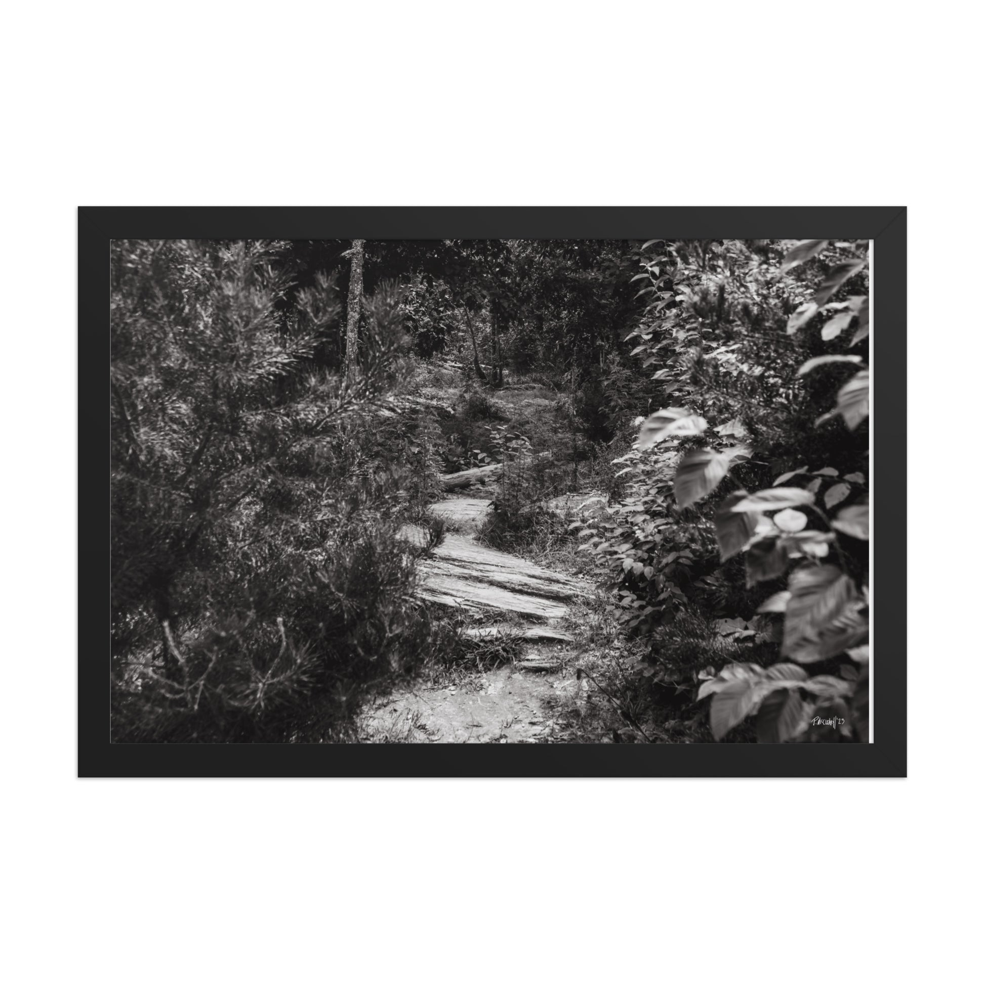Trial - 12x18 - T