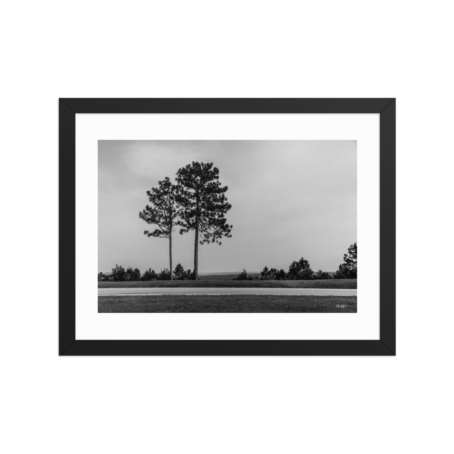 Thinning - 12x16 - T