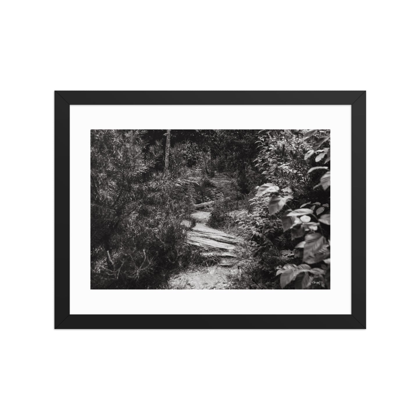 Trial - 12x16 - T