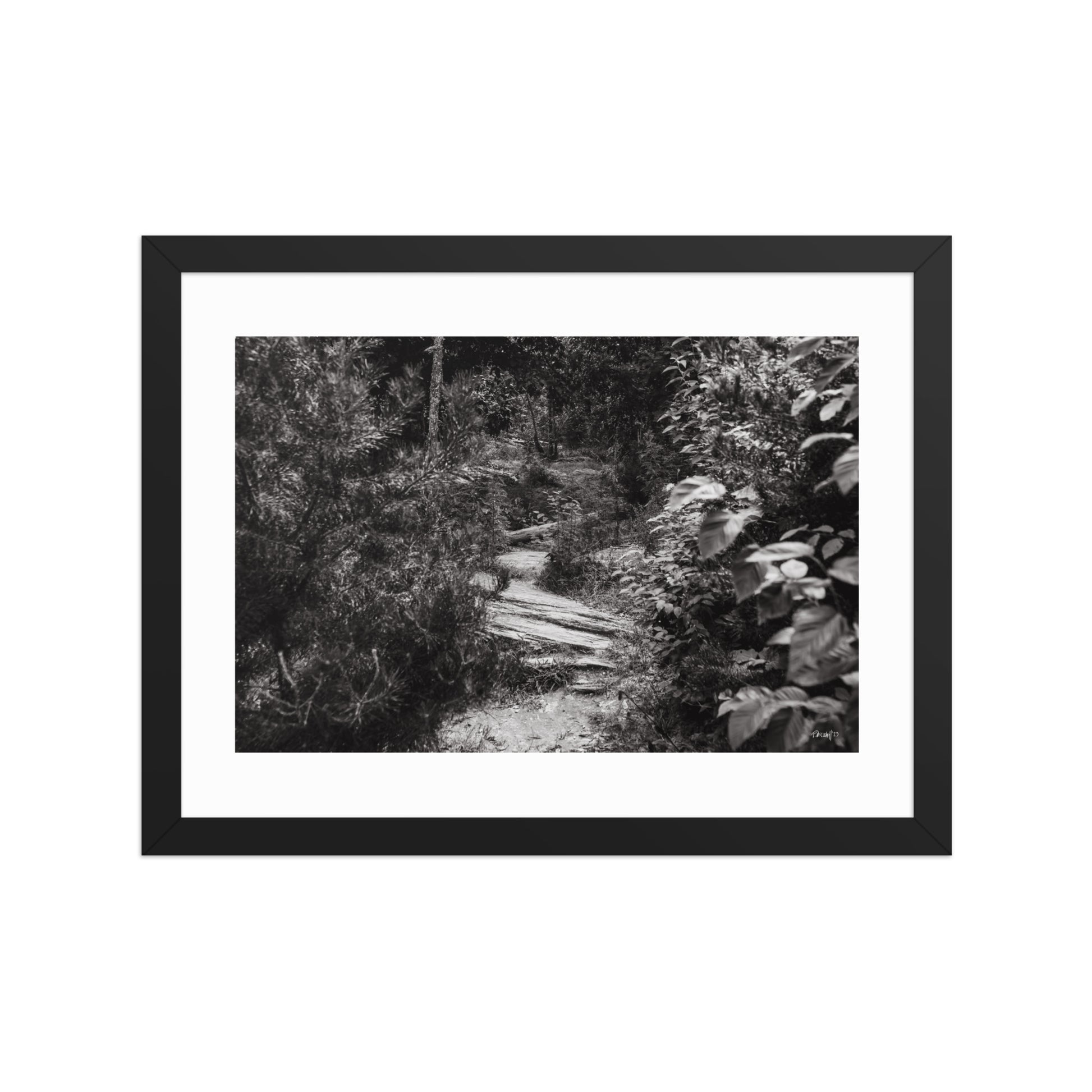 Trial - 12x16 - T