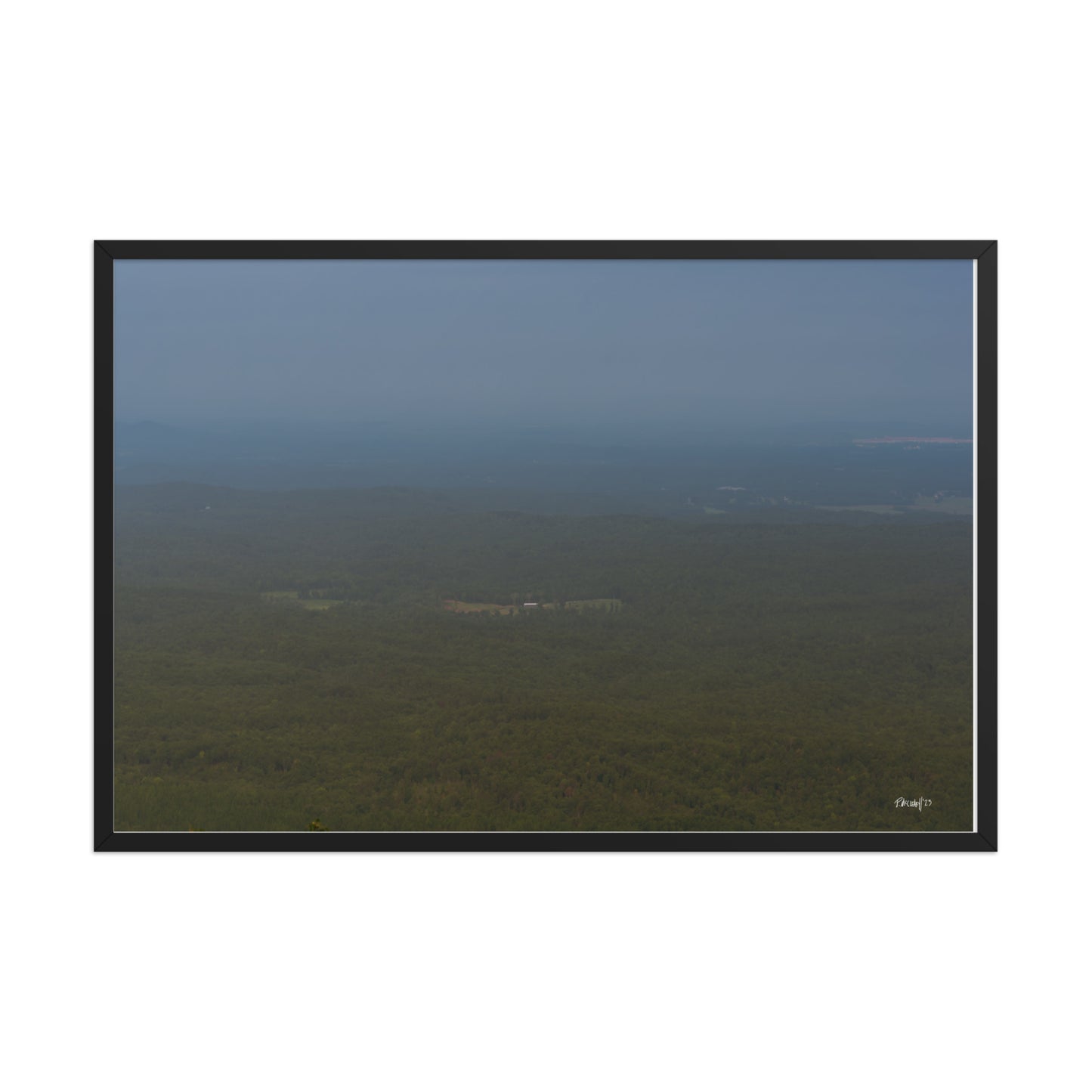 Verdant - 24x36 - T